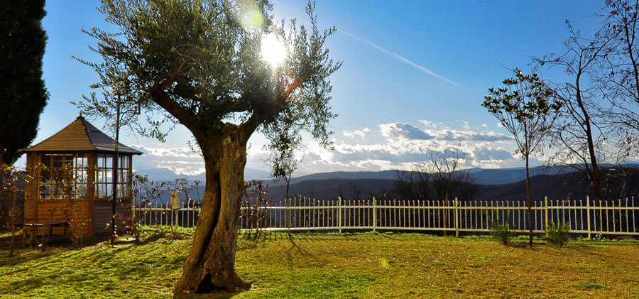 giardino-solarium-1-hotel-antico-pastificio-sarubbi-stigliano